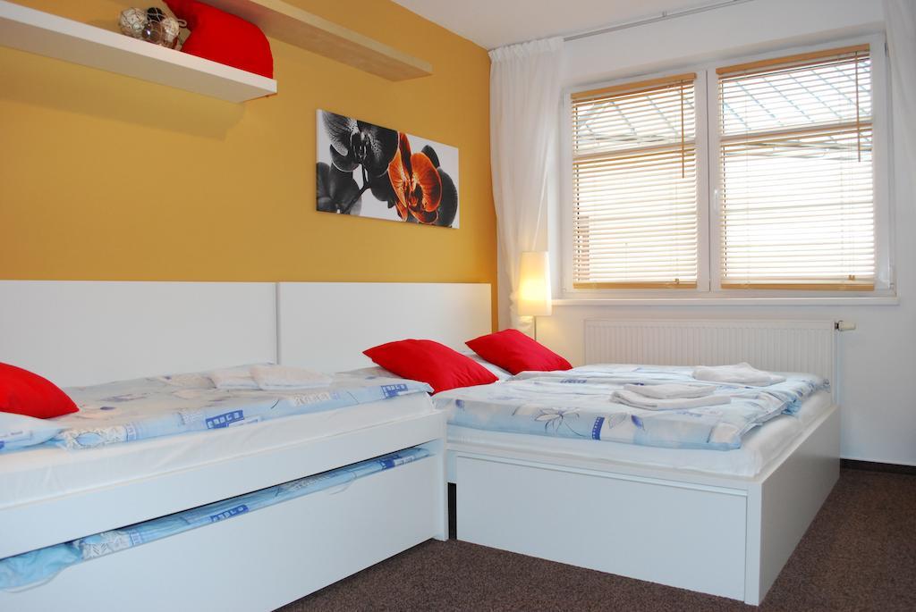Apartmany Rokytka U Sjezdovky 捷克布杰约维采 客房 照片